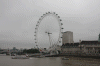 2010 07 London (159).gif (135189 bytes)