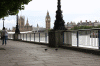 2010 07 London (207).gif (141960 bytes)