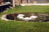 Brixen 2002 ducks.jpg (149183 bytes)