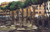 Rome 2001Area Sacea dell'Argentina.jpg (182794 bytes)